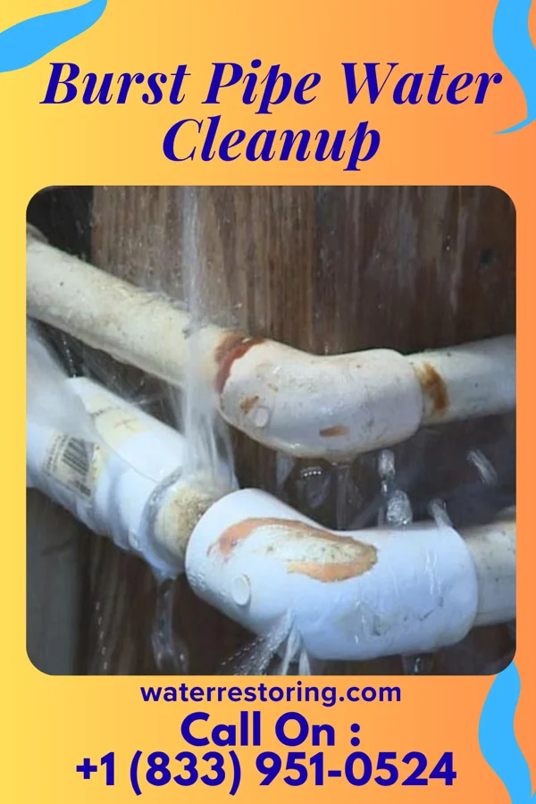 Burst Pipe Water Cleanup in Gateway, FL