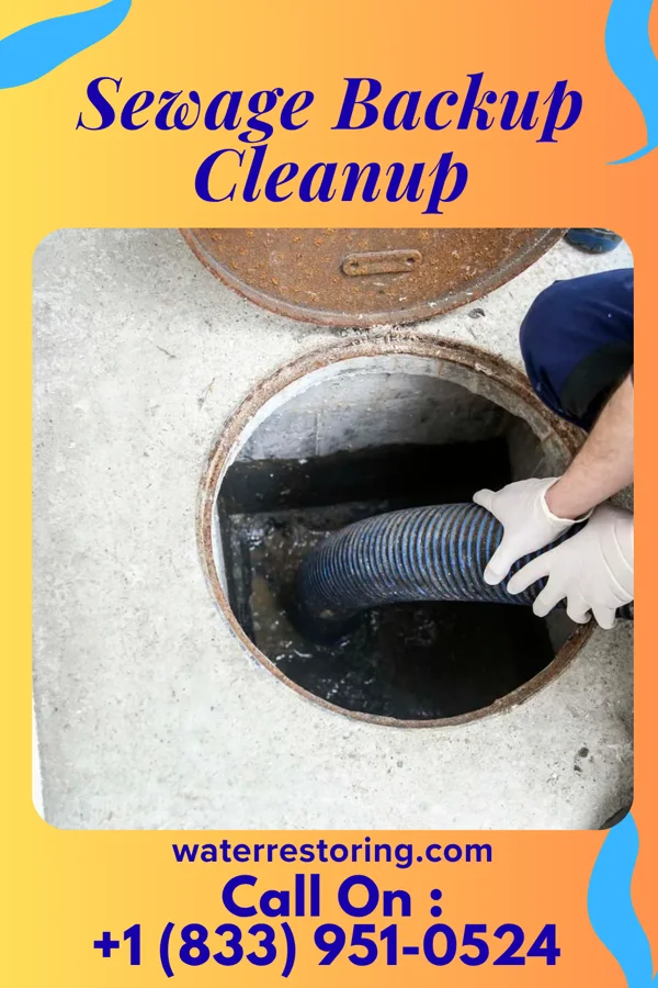 Sewage Backup Cleanup in Gateway, FL