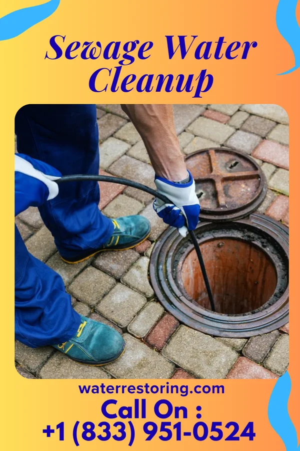 Sewage Water Cleanup in Gateway, FL